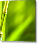 Bamboo Leaves On Natural Background Metal Print