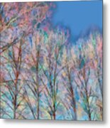 Baretrees, Early Spring Metal Print