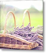 Baskets Of Lavender Metal Print