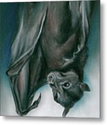 Bat Just Hanging Around Metal Print