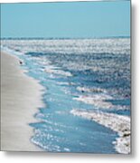 Beach Strolling With The Birds Metal Print
