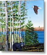 Little Bear And Eagle Wing Metal Print