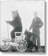 Bears Riding A Go-cart Metal Print