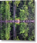 Beautiful Forest Reflection From Lake Metal Print