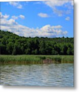 Beaver Lodge On Southern Lake Champlain New York Metal Print