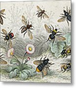 Bees In Colour Metal Print