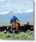 Big Cattle Drive Metal Print