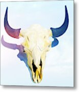 Bison Skull 007 Metal Print