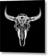 Bison Skull X-ray 01bw Metal Print
