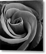 Black And White Rose Metal Print