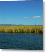 Black River Jamaica 4 Metal Print