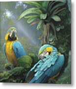 Blue And Yellow Macaws Metal Print