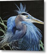 Blue Heron Metal Print