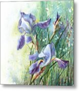 Blue Irises Fairytale Metal Print