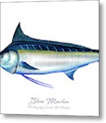 Blue Marlin Metal Print