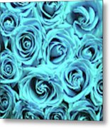 Blue Roses Metal Print
