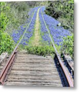 Bluebonnet Path Metal Print