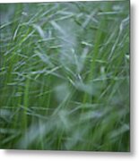 Blurry Wheat Metal Print