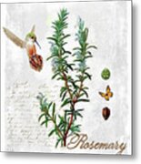 Botanical Garden Rosemary Herb Metal Print