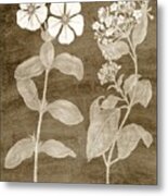 Botanical In Taupe Iv Metal Print