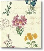 Botanical Journal I Metal Print