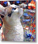 Brady The Half Siamese Half Tabby Cat Metal Print