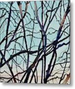 Branches - Santa Monica Mountains Metal Print