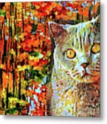 British Shorthair Cat In Autumn Metal Print