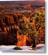 Bryce Canyon Winter Sunrise Metal Print