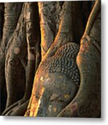 Buddha Head Inbedded In Roots At Wat Metal Print