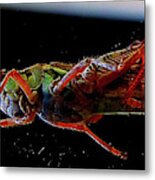 Bugs From Outerspace Metal Print
