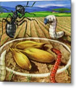 Bugs In A Farm Field Metal Poster