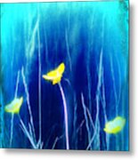 Buttercup Blue Metal Print