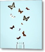 Butterflies Escaping From Jar Metal Print
