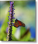 Butterfly And Flower Metal Print