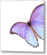 Butterfly Beauty Metal Print