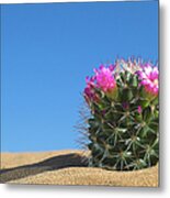 Cactus Flower Metal Print