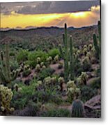 Cactus Sunset Metal Print