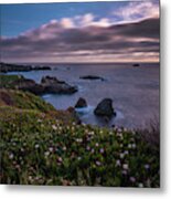 California Coast Dusk Wildflowers Metal Print