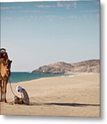Camel And Guide Sit On White Sandy Metal Print