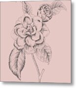 Camellia Blush Pink Flower Metal Print