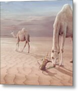 Camels Trip Metal Print