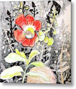 Cannonball Flower Botanical Metal Print