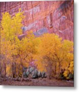 Canyon De Chelly Fall Colors 1812 Metal Print