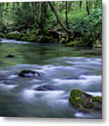 Carolina Side Metal Print