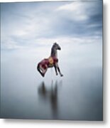 Carousel Horse In A Lake Metal Print