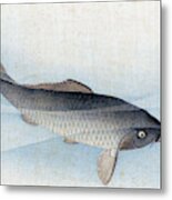 Carp Metal Print