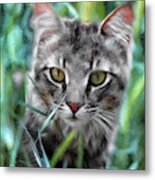 Cat In The Grass Metal Print
