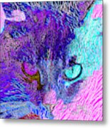 Cat Scratch Fever 20190204z Metal Print