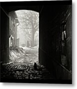 Cat Sitting Near Door Metal Print